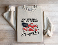 Load image into Gallery viewer, If My People Pray, I Will Heal Their Land - Sweatshirt
