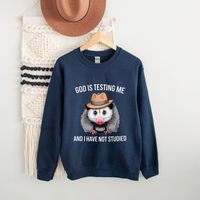 Load image into Gallery viewer, God Is Testing Me And I Have Not Studied
