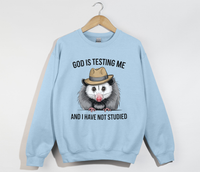 Load image into Gallery viewer, God Is Testing Me And I Have Not Studied - Sweatshirt

