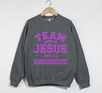 Load image into Gallery viewer, Team Jesus, Lifetime Member - Christian Sweatshirt