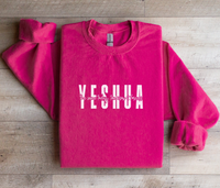 Load image into Gallery viewer, YESHUA Print - Women&#39;s Dark Sweatshirt
