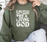 Load image into Gallery viewer, Living Proof Of A Loving God - Sweatshirt
