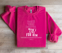 Load image into Gallery viewer, Jesus Died For Me - Sweatshirt
