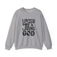 Load image into Gallery viewer, Living Proof Of A Loving God - Sweatshirt
