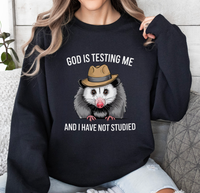 Load image into Gallery viewer, God Is Testing Me And I Have Not Studied
