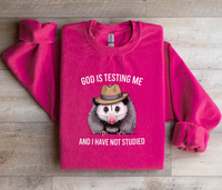 Load image into Gallery viewer, God Is Testing Me And I Have Not Studied
