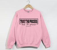 Load image into Gallery viewer, Trust The Process, Trust The Promise - Jeremiah 29:11 Sweatshirt
