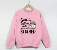 Load image into Gallery viewer, God Is Testing And I Have Not Studied - Sweatshirt
