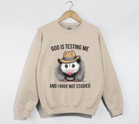 Load image into Gallery viewer, God Is Testing Me And I Have Not Studied - Sweatshirt
