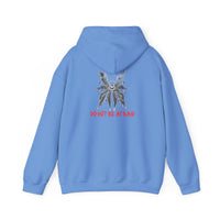 Load image into Gallery viewer, Angel Hoodie - Do Not Be Afraid - Biblically Accurate

