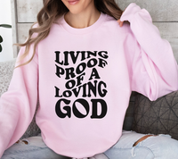 Load image into Gallery viewer, Living Proof Of A Loving God - Sweatshirt
