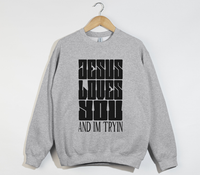 Load image into Gallery viewer, Jesus Loves You And I&#39;m Tryin - Christian Sweatshirt
