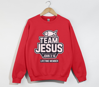 Load image into Gallery viewer, Team Jesus, Lifetime Member - Christian Sweatshirt