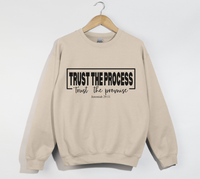 Load image into Gallery viewer, Trust The Process, Trust The Promise - Jeremiah 29:11 Sweatshirt
