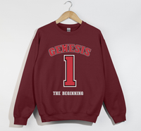 Load image into Gallery viewer, Genesis 1 - Christian Sweatshirt

