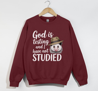 Load image into Gallery viewer, God Is Testing And I Have Not Studied - Sweatshirt
