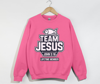 Load image into Gallery viewer, Team Jesus, Lifetime Member - Christian Sweatshirt