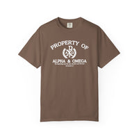 Load image into Gallery viewer, Property Of Alpha &amp; Omega - Comfort Colors Men's Tee