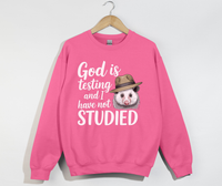 Load image into Gallery viewer, God Is Testing And I Have Not Studied - Sweatshirt
