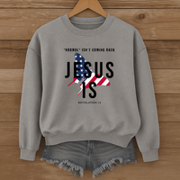 Load image into Gallery viewer, Normal Isn't Coming Back Jesus Is, Revelation 14 Shirt, American Flag Sweatshirt , Christian Patriotic Gifts