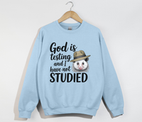 Load image into Gallery viewer, God Is Testing And I Have Not Studied - Sweatshirt
