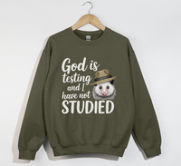 Load image into Gallery viewer, God Is Testing And I Have Not Studied - Sweatshirt
