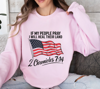 Load image into Gallery viewer, If My People Pray, I Will Heal Their Land - Sweatshirt

