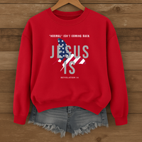 Load image into Gallery viewer, Normal Isn't Coming Back Jesus Is, Revelation 14 Shirt, American Flag Sweatshirt , Christian Patriotic Gifts