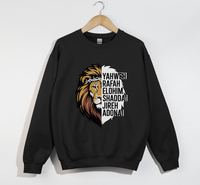 Load image into Gallery viewer, Holy Names Of The Lord - Christian Sweatshirt
