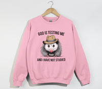 Load image into Gallery viewer, God Is Testing Me And I Have Not Studied - Sweatshirt
