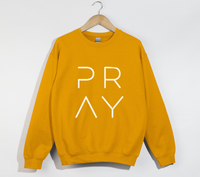 Load image into Gallery viewer, PRAY - Christian Sweatshirt
