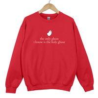 Load image into Gallery viewer, The Only Ghost I Know Is The Holy Ghost - Funny Christian Halloween Shirt, Faith Autumn Sweatshirt