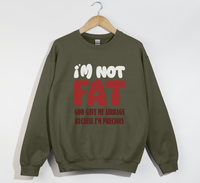 Load image into Gallery viewer, Christian Humor: God Gave Me Airbags Sweatshirt