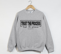Load image into Gallery viewer, Trust The Process, Trust The Promise - Jeremiah 29:11 Sweatshirt
