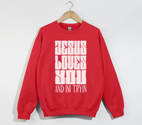 Load image into Gallery viewer, Jesus Loves You And I&#39;m Tryin - Christian Sweatshirt
