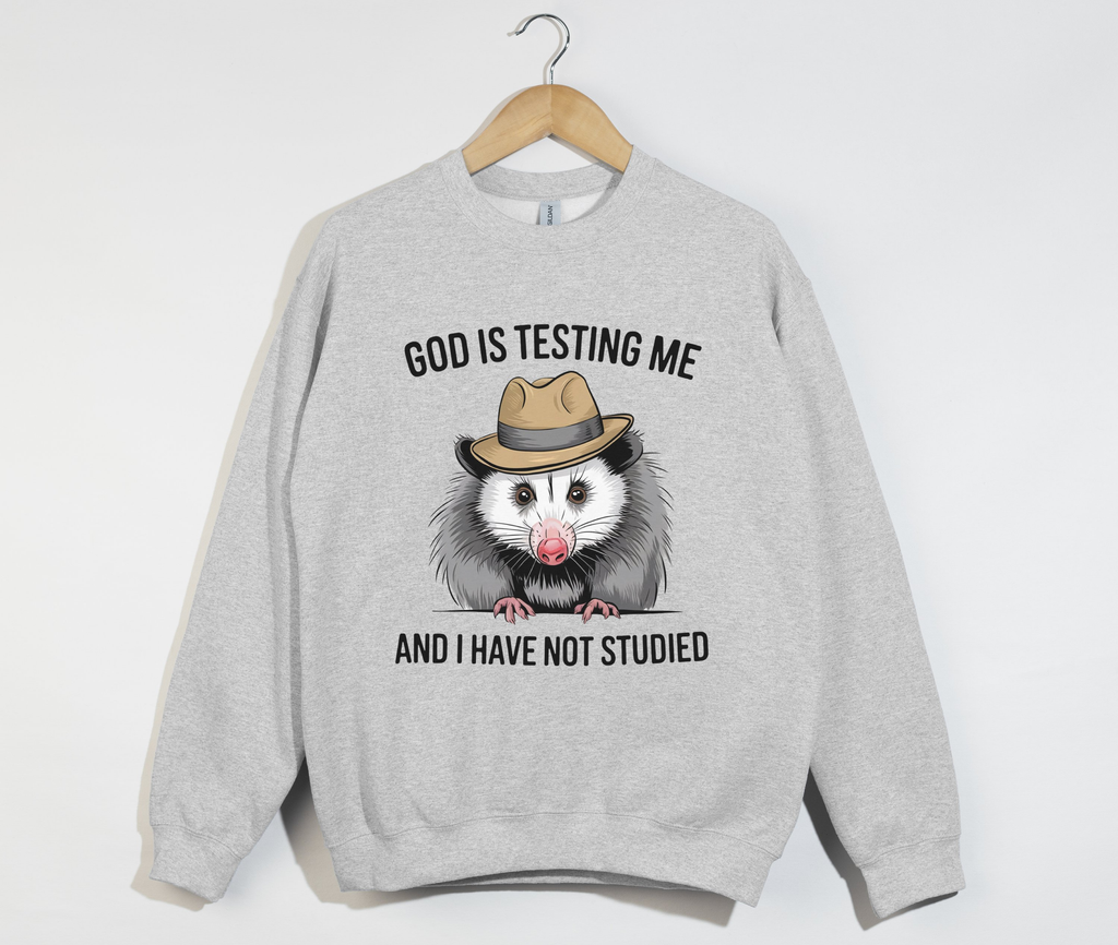 God Is Testing Me And I Have Not Studied - Sweatshirt