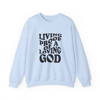 Load image into Gallery viewer, Living Proof Of A Loving God - Sweatshirt
