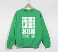 Load image into Gallery viewer, Jesus Loves You And I&#39;m Tryin - Christian Sweatshirt
