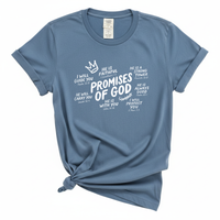 Load image into Gallery viewer, Promises Of God - Bible Verse Comfort Colors Tee