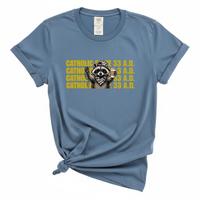 Load image into Gallery viewer, Catholic Since 33 AD Shirt - Raccoon Christian Coffee Lover Tee