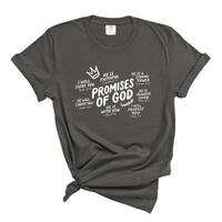 Load image into Gallery viewer, Promises Of God - Bible Verse Comfort Colors Tee