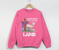 Load image into Gallery viewer, It&#39;s Not About The Bunny, It&#39;s About The Lamb - Christian Sweatshirt
