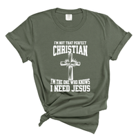 Load image into Gallery viewer, I'm Not That Perfect Christian - Comfort Colors Tee