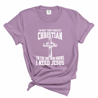 Load image into Gallery viewer, I'm Not That Perfect Christian - Comfort Colors Tee