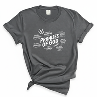Load image into Gallery viewer, Promises Of God - Bible Verse Comfort Colors Tee