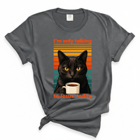 Load image into Gallery viewer, I'm Only Talking To Jesus Today - Cat Lover Comfort Colors Tee