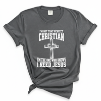 Load image into Gallery viewer, I'm Not That Perfect Christian - Comfort Colors Tee