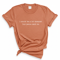 Load image into Gallery viewer, I Could Be A Lot Meaner But Jesus Said No - Comfort Colors Tee