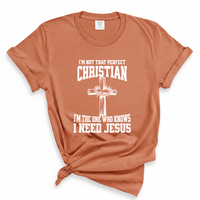 Load image into Gallery viewer, I'm Not That Perfect Christian - Comfort Colors Tee