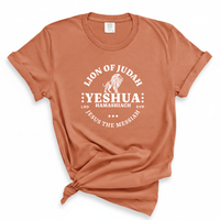 Load image into Gallery viewer, Lion Of Judah - Comfort Colors Tee